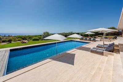 Pool (2).jpg