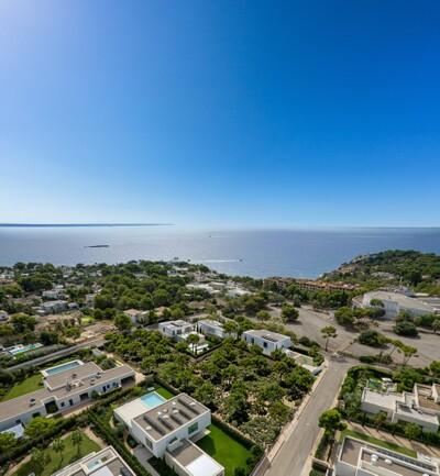 Aerial (1)