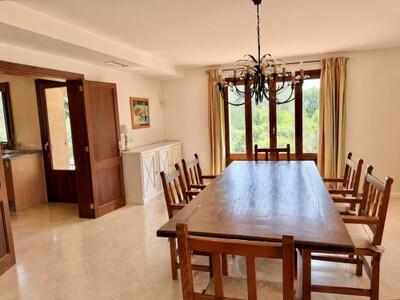 Finca Ses Salines16