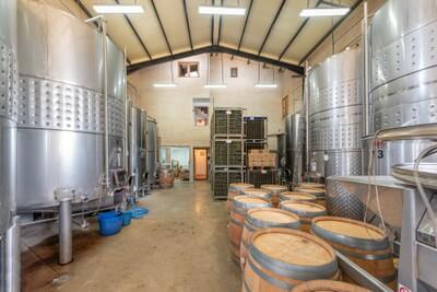 Wine Production (1)