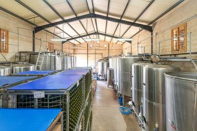 Wine Production (2)