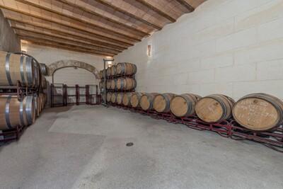 Wine Cellar