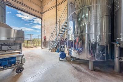 Wine Production (4)