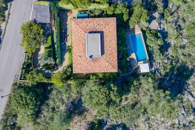 Aerial (4)