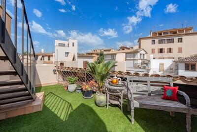 Terrace (1)