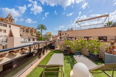 Terrace (2)