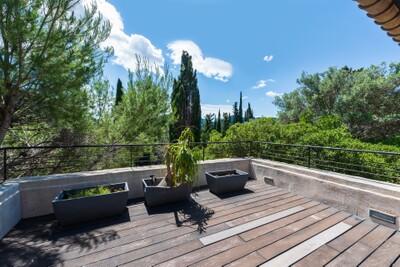 Terrace (1)