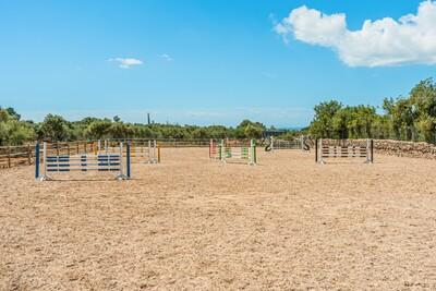 Riding Area
