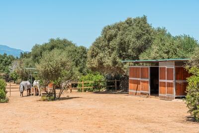 Enclosure (1)