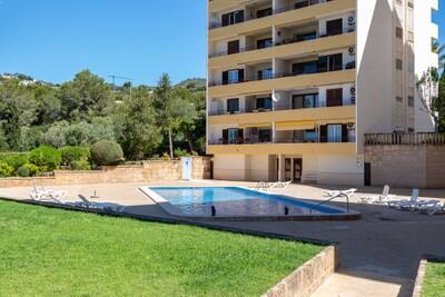 Pool (1)