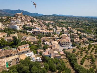Selva Aerial (1)