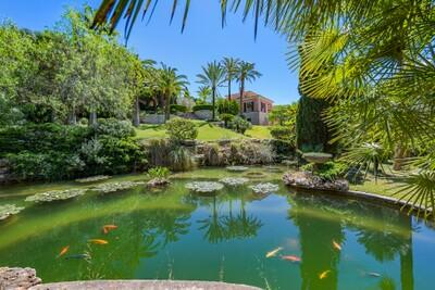 Pond (1)