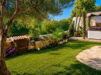 Garden (2)