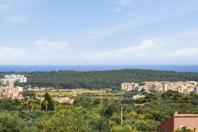 View (2)