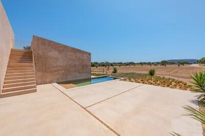 Swimming Pool (2)