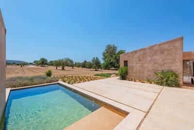 Swimming Pool (3)