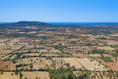 Aerial (2)