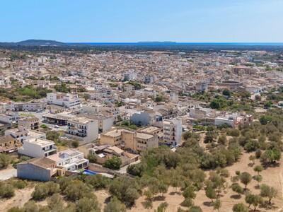 Aerial (6)