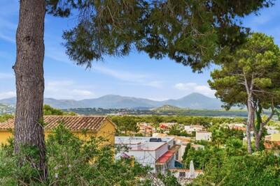 View (1)