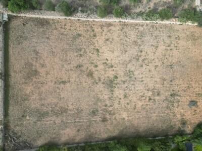Aerial (1)