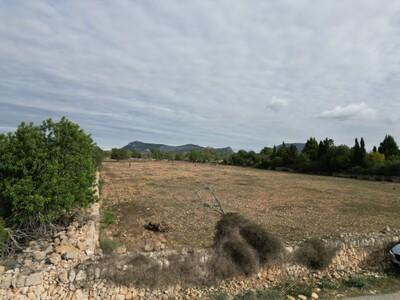 Plot (3)