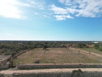 Aerial (3)