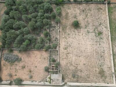 Aerial (1)
