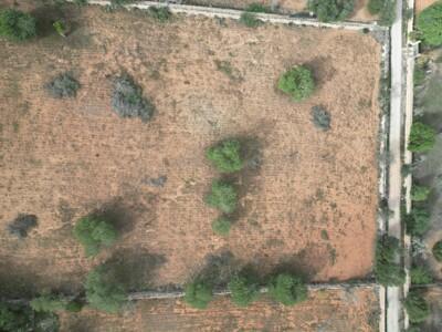 Aerial (2)