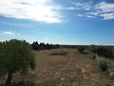Aerial (2)