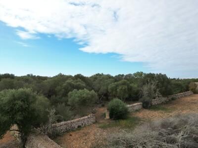 Aerial (10)