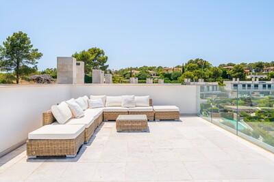 Terrace (1)