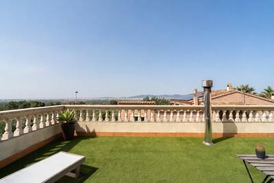 Terrace (2)