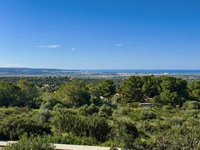 View (1)
