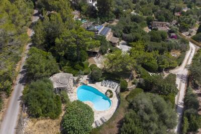 Aerial (4)