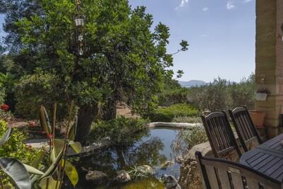 Pond