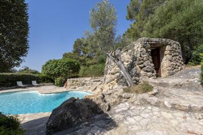 Swimming Pool x