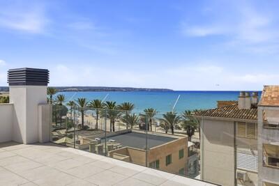 Roof Terrace (3)