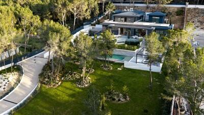 Aerial (5)