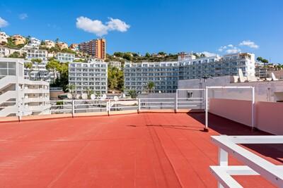 Roof Terrace.jpg