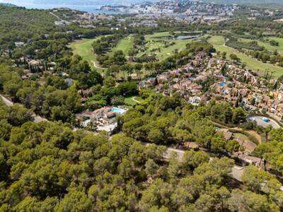 Aerial Plot (2)
