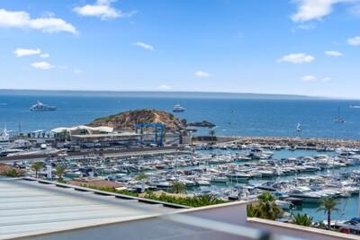 View1 (1)
