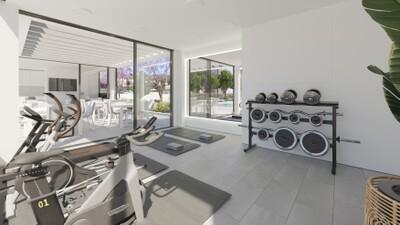 Gym (1)