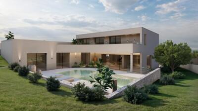 Exterior and Pool (3)
