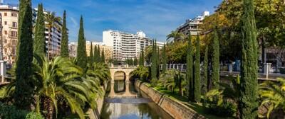 C2-6-Palma-apartments-Paseo-Mallorca-min