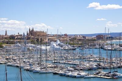 Palma