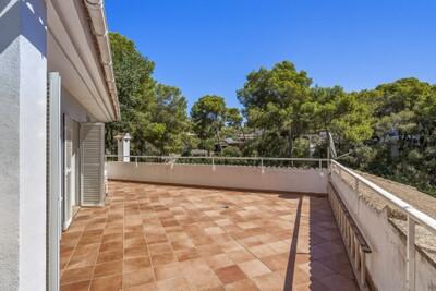 Upper Terrace.jpg