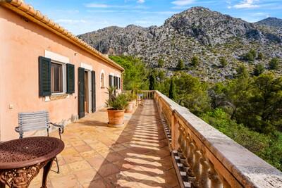 Top Terrace (2)
