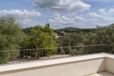 Upper Terrace.jpg