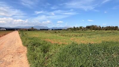Plot (5)