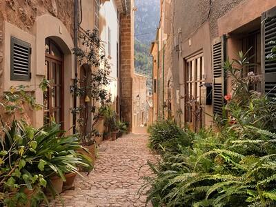 Street